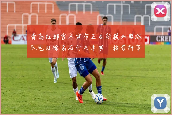 青岛红狮官方宣布五名新援加盟球队包括徐嘉石付杰李明璠梅景轩等球员