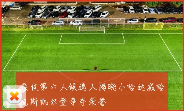 最佳第六人候选人揭晓小哈达威哈克斯凯尔登争夺荣誉