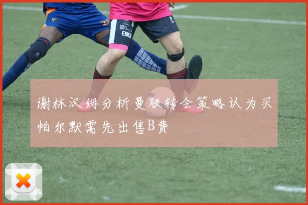 谢林汉姆分析曼联转会策略认为买帕尔默需先出售B费